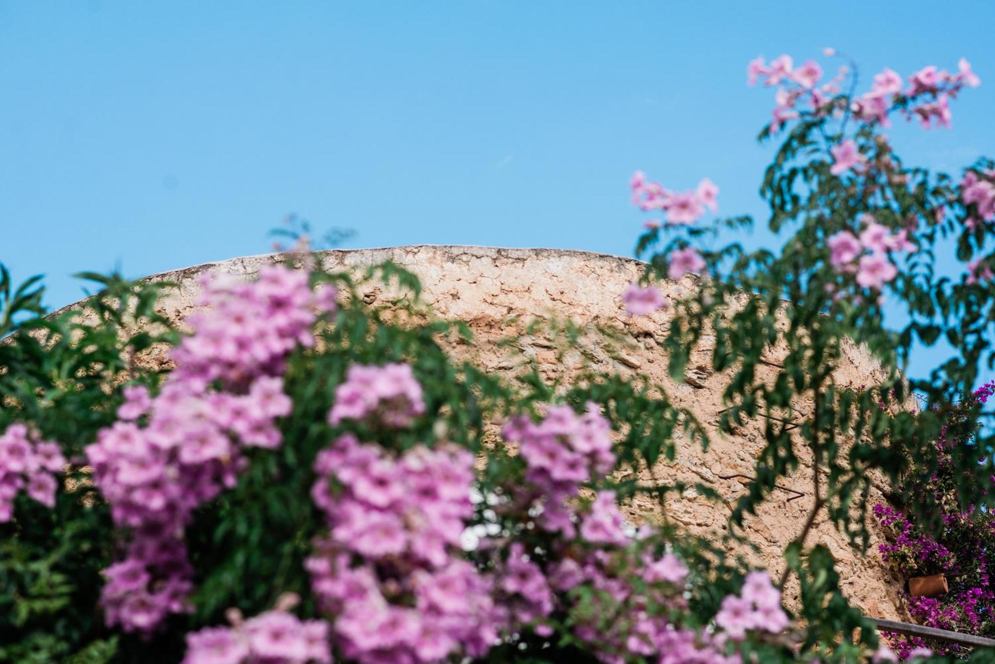 Can Quince Balafia Ibiza Hotel - Turismo De Interior سانت لورنس دي بالافيا المظهر الخارجي الصورة