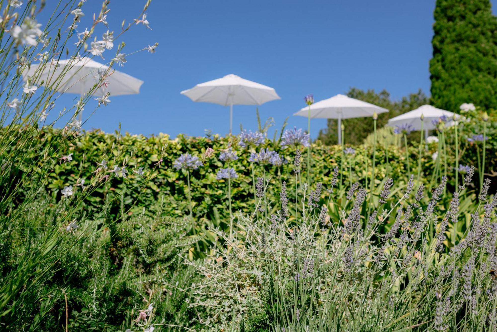Can Quince Balafia Ibiza Hotel - Turismo De Interior سانت لورنس دي بالافيا المظهر الخارجي الصورة